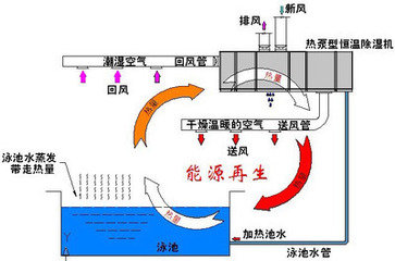 泳池水处理设备之恒温水池